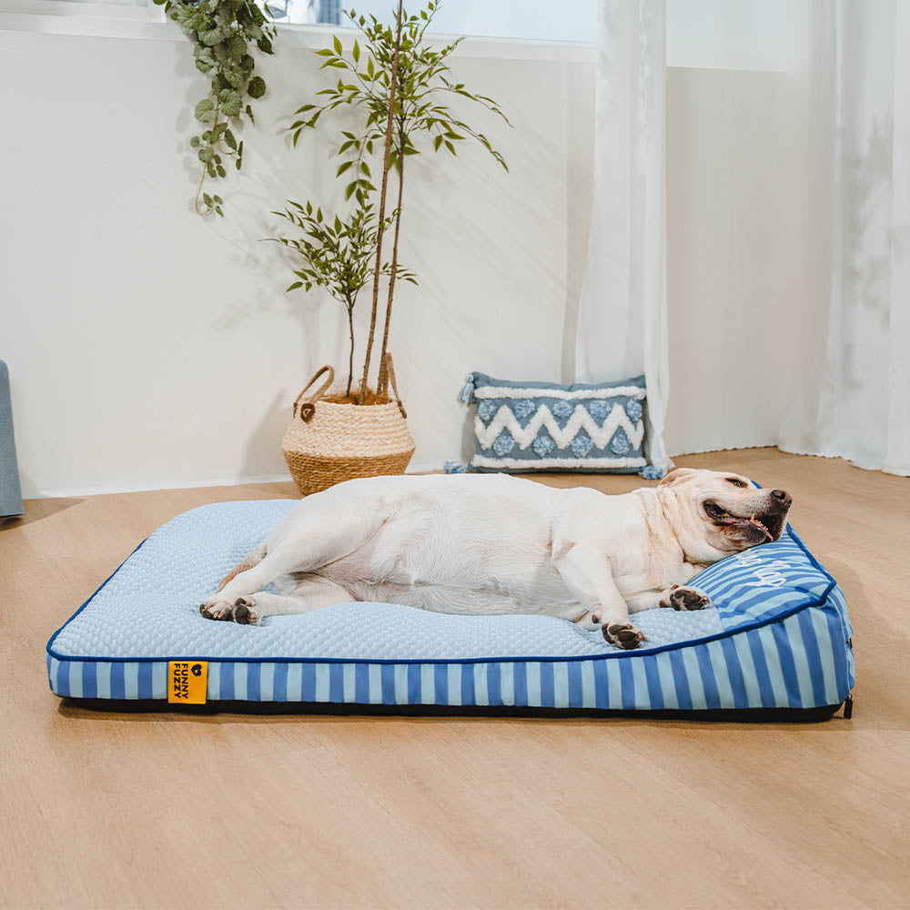 Extra großes kühlendes waschbares rechteckiges orthopädisches Kühlmatte Hund - Kühlmatte Hund