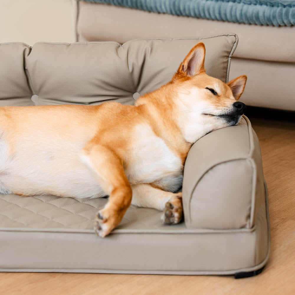 Luxe Kunstleder faltbares orthopädisches großes Hundebett - CoreLounge