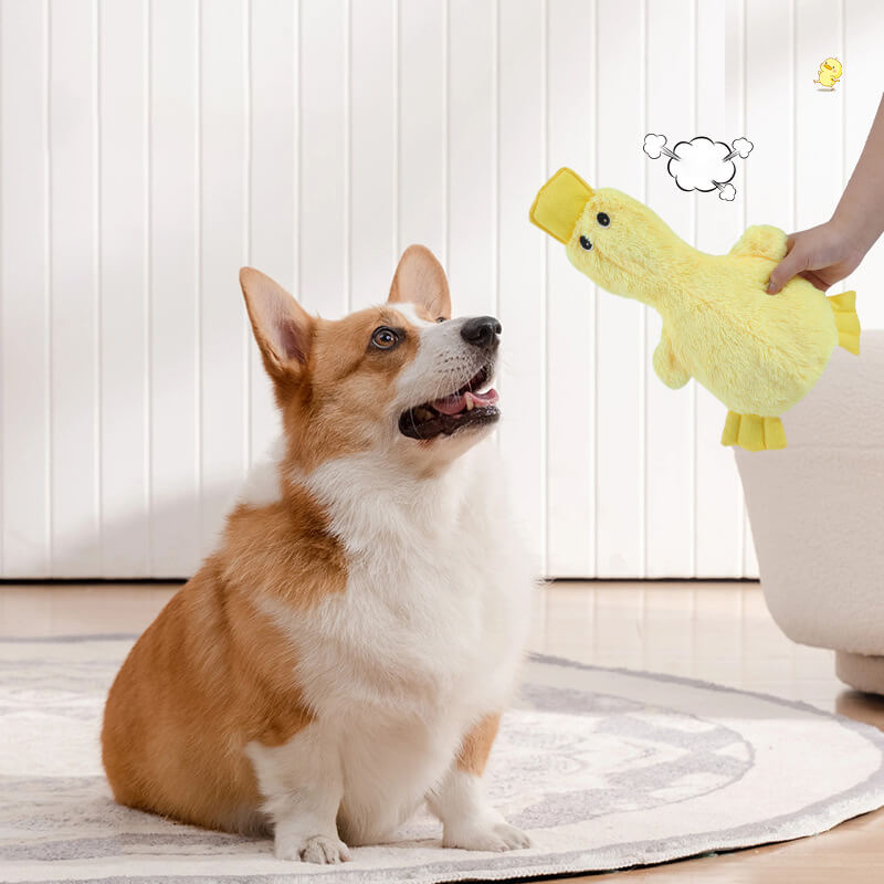 Quietscher Kauspielzeug für Hunde in Form Süßes Enten-Plüschtieres