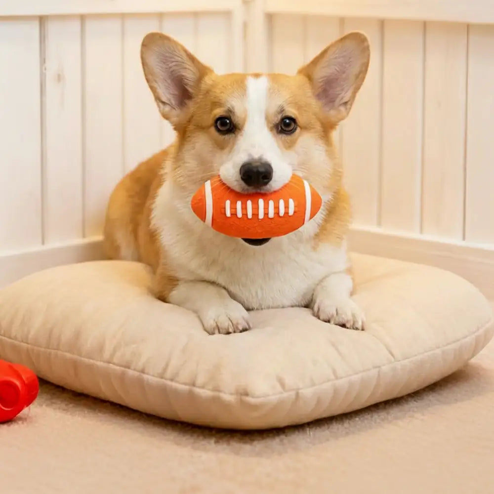 Haltbares Latex-Beißspielzeug für Hunde mit Quitscher
