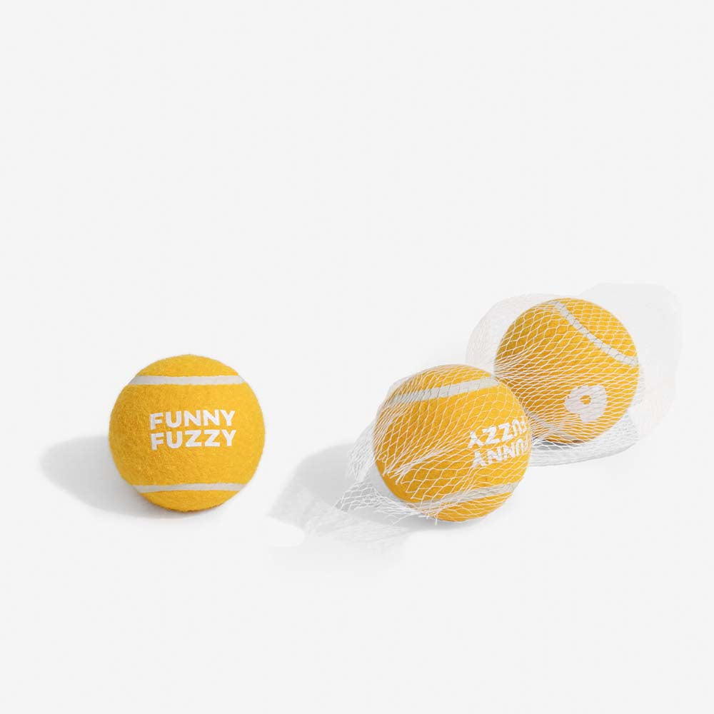 Tennisball Hundespielzeug Quietschen & Hüpfen