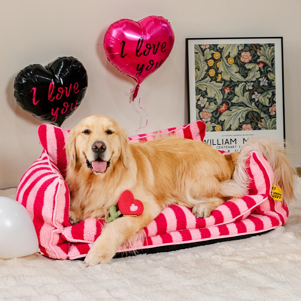 FUNNYFUZZY Valentinstags-Rose Plüsch Quietschspielzeug für Hunde