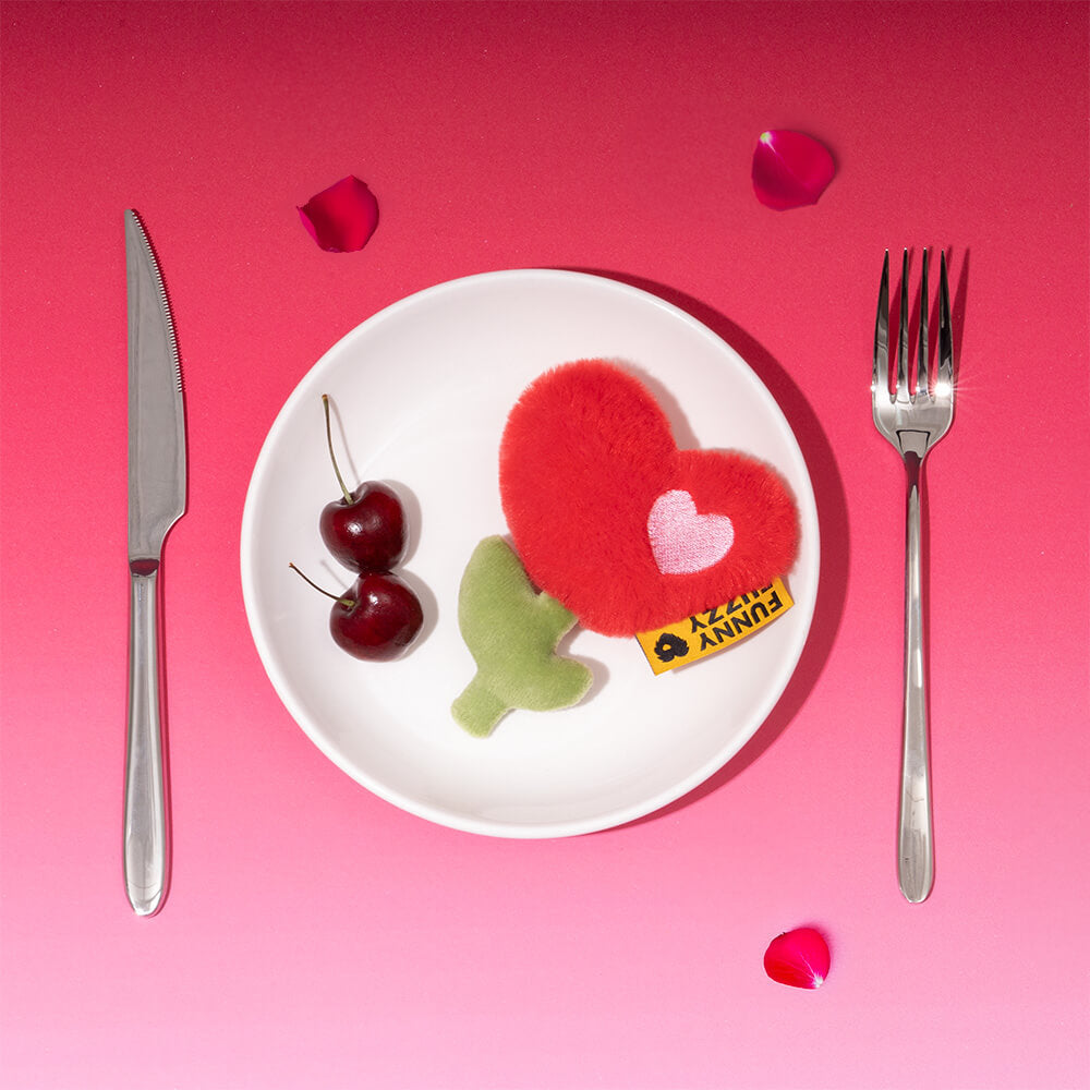 FUNNYFUZZY Valentinstags-Rose Plüsch Quietschspielzeug für Hunde
