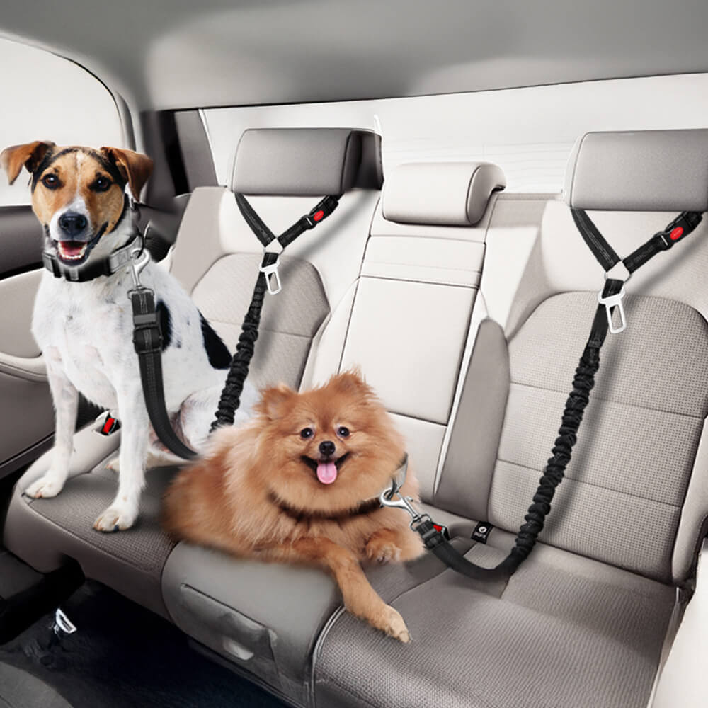 Hund Autositzgurt für Fahrzeugsitzkopfstütze