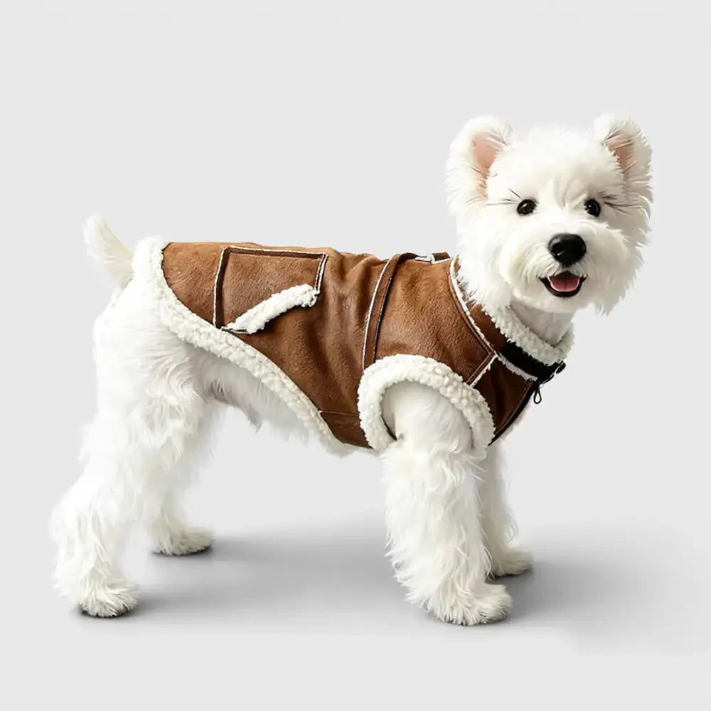 Retro Wildleder Dackel Hundeweste