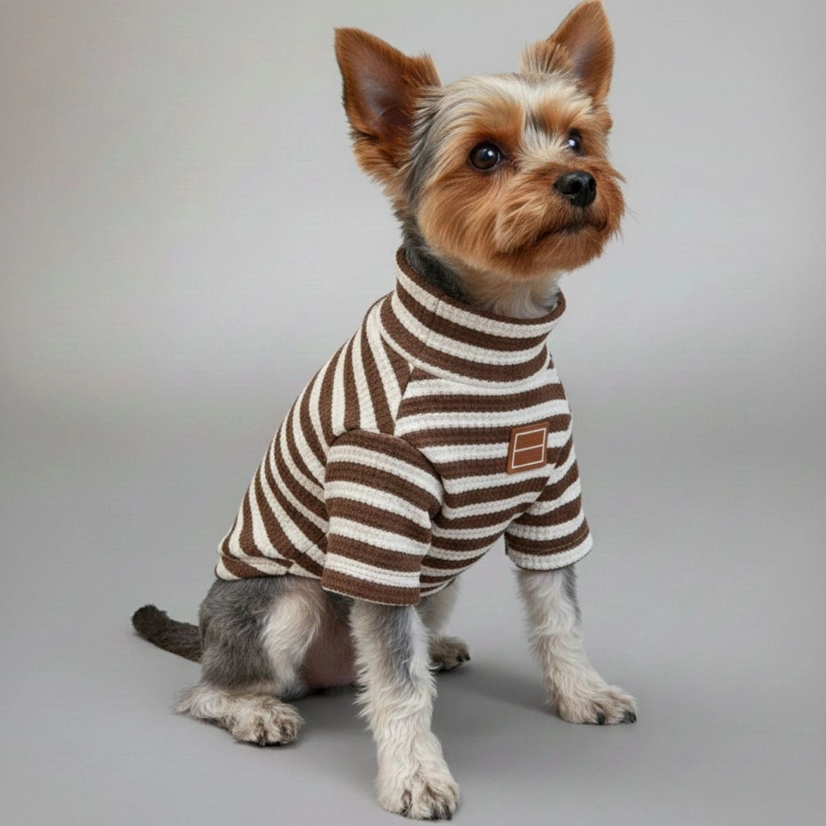 Karierte Baseball-Hundejacke – sportliche und stylische Oberbekleidung für Hunde
