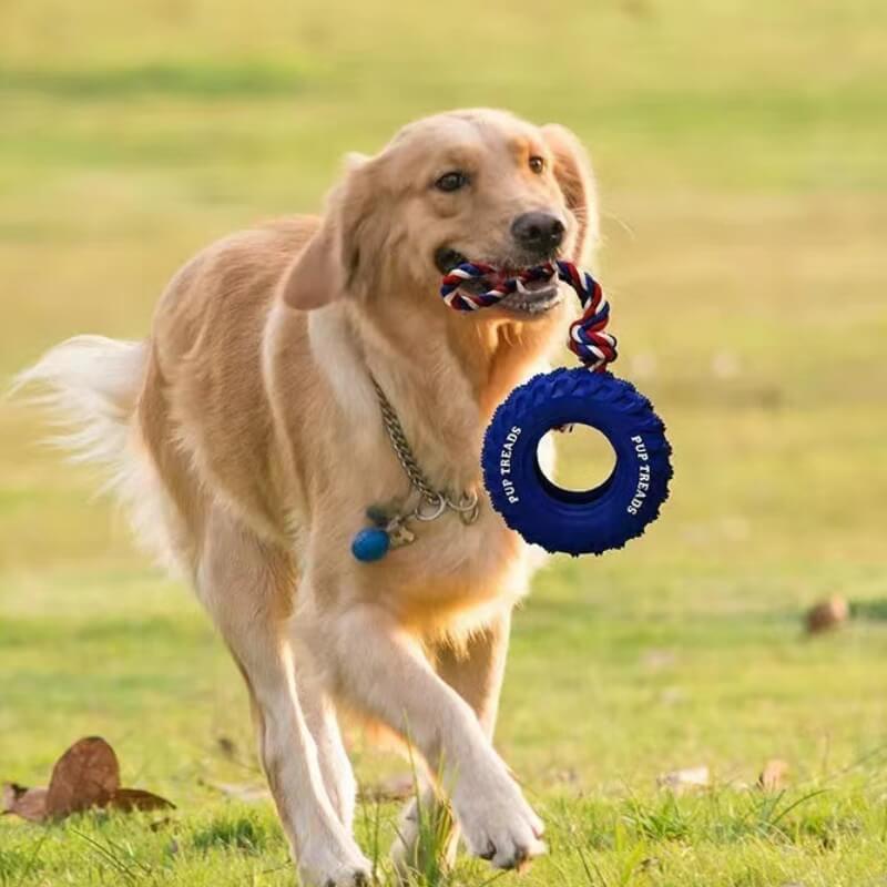 Interaktives Hundespielzeug aus Gummireifen zum Beiß- und Kauen