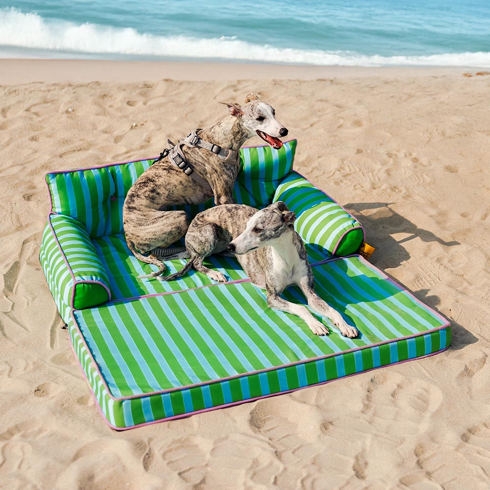Modisches Gestreiftes Wasserabweisendes Faltbares Hundesofabett - Sunny Siesta