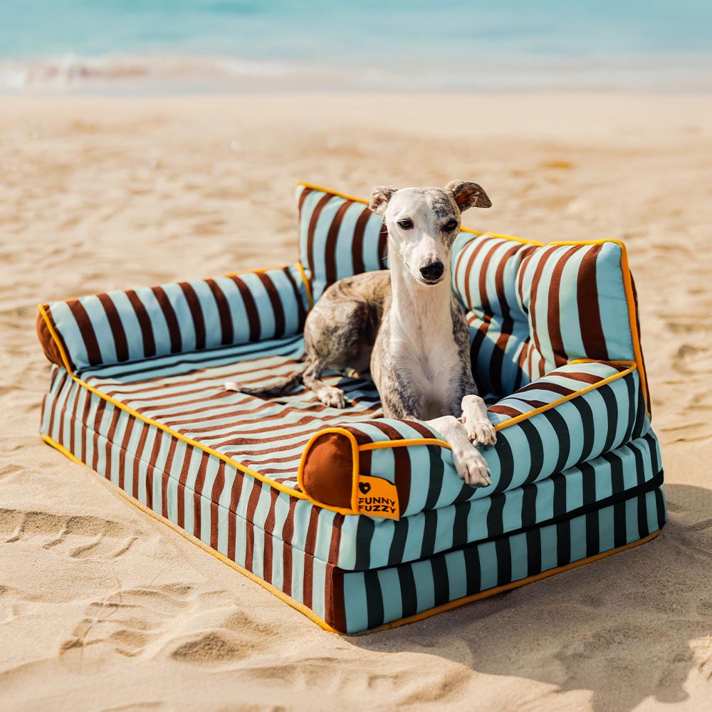 Modisches Gestreiftes Wasserabweisendes Faltbares Hundesofabett - Sunny Siesta