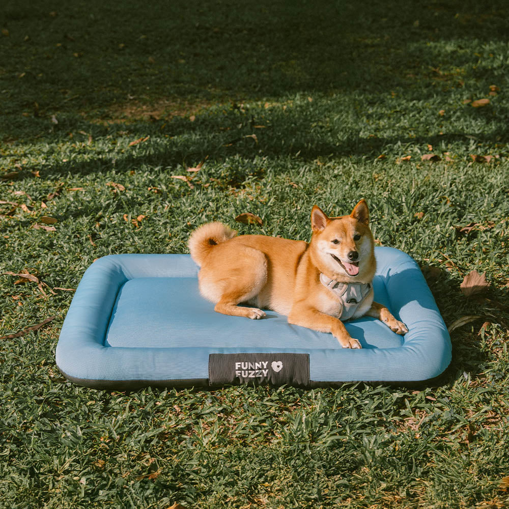 Wasserdicht Kratzfeste Farbblockierte Orthopädische Außen Hundematte - Trek Lounge