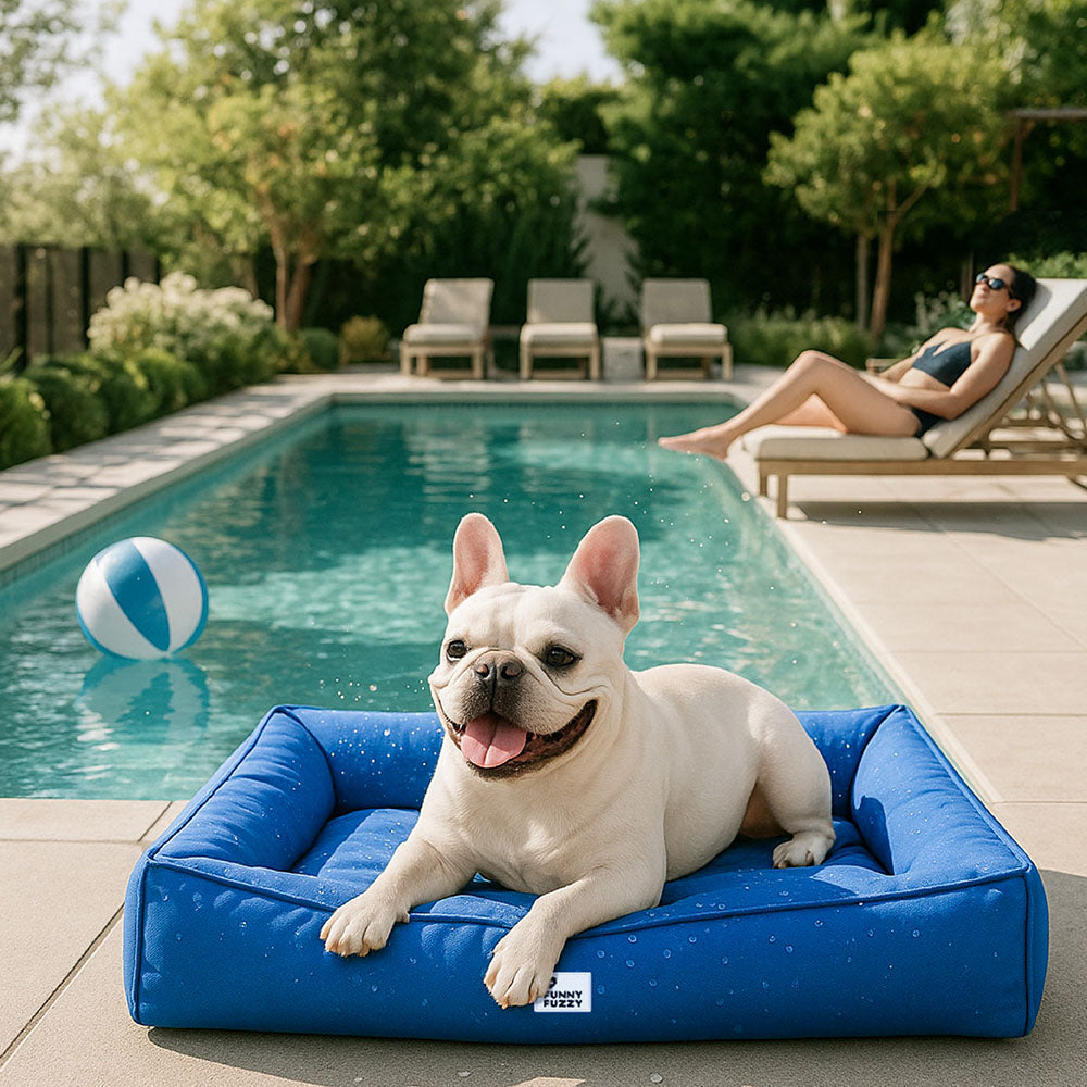 Vollständig Orthopädisches Wasserabweisendes Hundebett mit Rundum-Unterstützung für Große Hunde