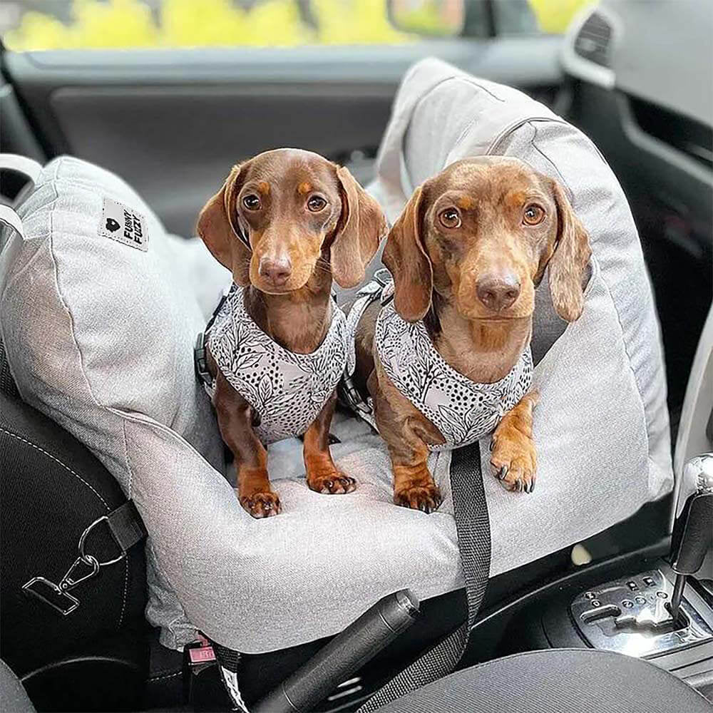 Dog Car Seat Bed - First Class - FUNNYFUZZY