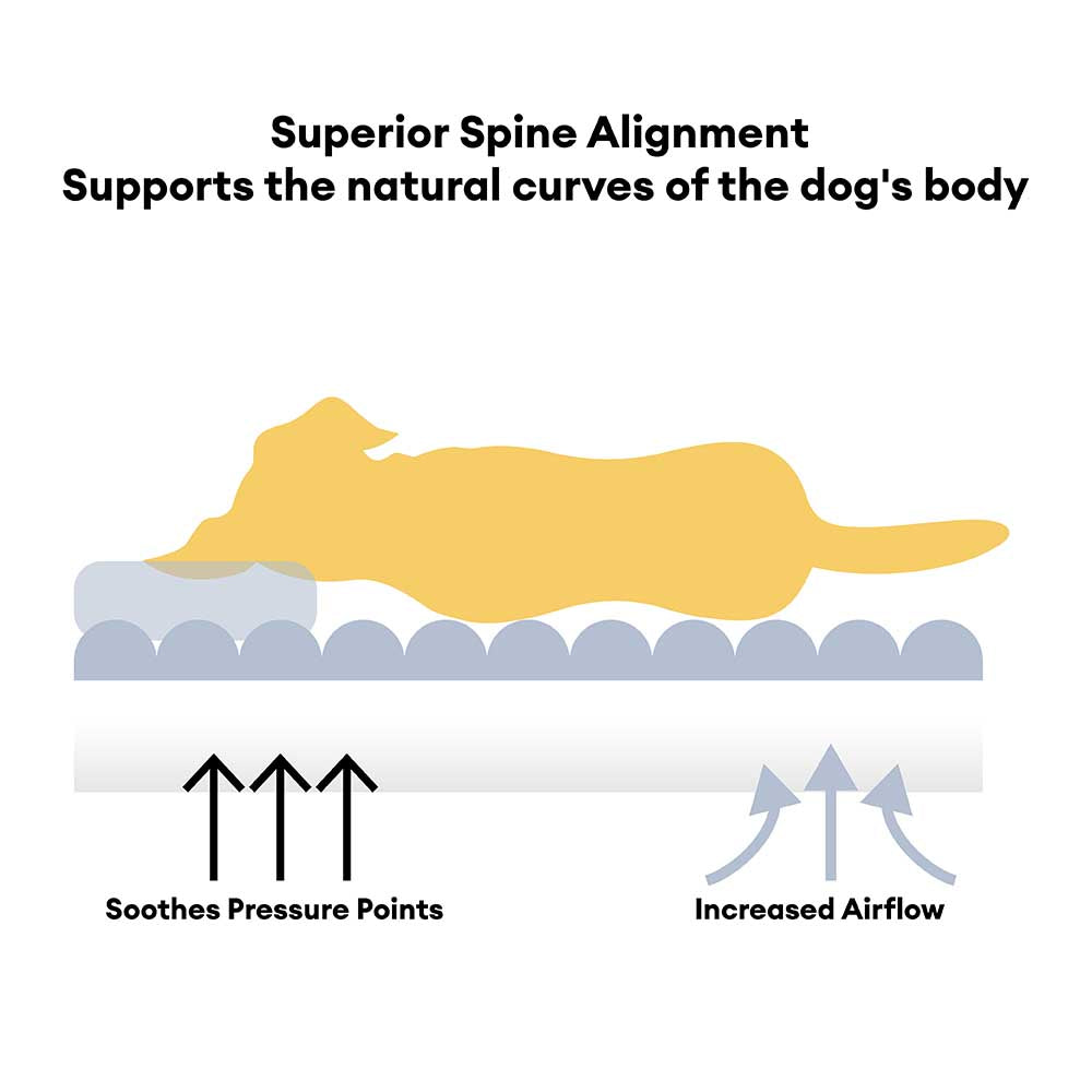 Großes Weiches Stützendes Orthopädisches Eckhundebett mit Kopfstütze - Cloudy Napper