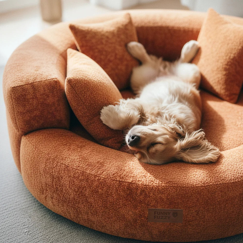 Orthopädisches Donut-Hundebett aus Diamond Velvet mit abnehmbarem Kissen – DreamNest
