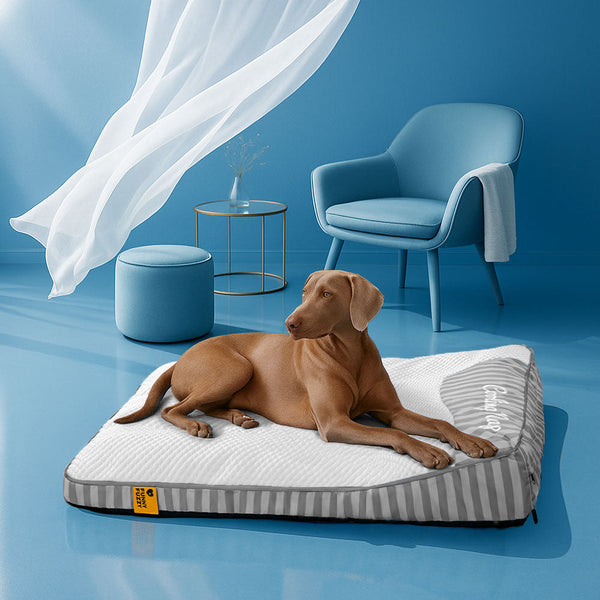 Extra großes kühlendes waschbares rechteckiges orthopädisches Kühlmatte Hund - Kühlmatte Hund