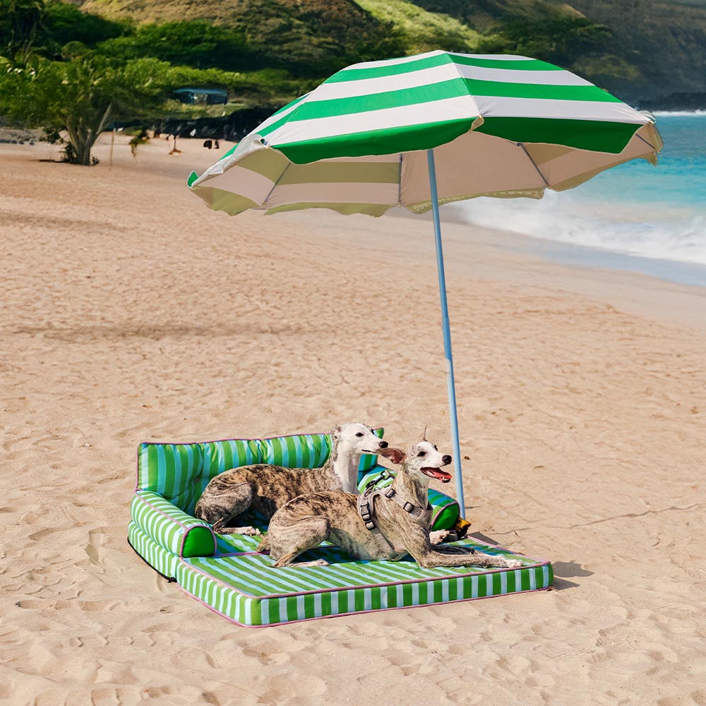 Modisches Gestreiftes Wasserabweisendes Faltbares Hundesofabett - Sunny Siesta