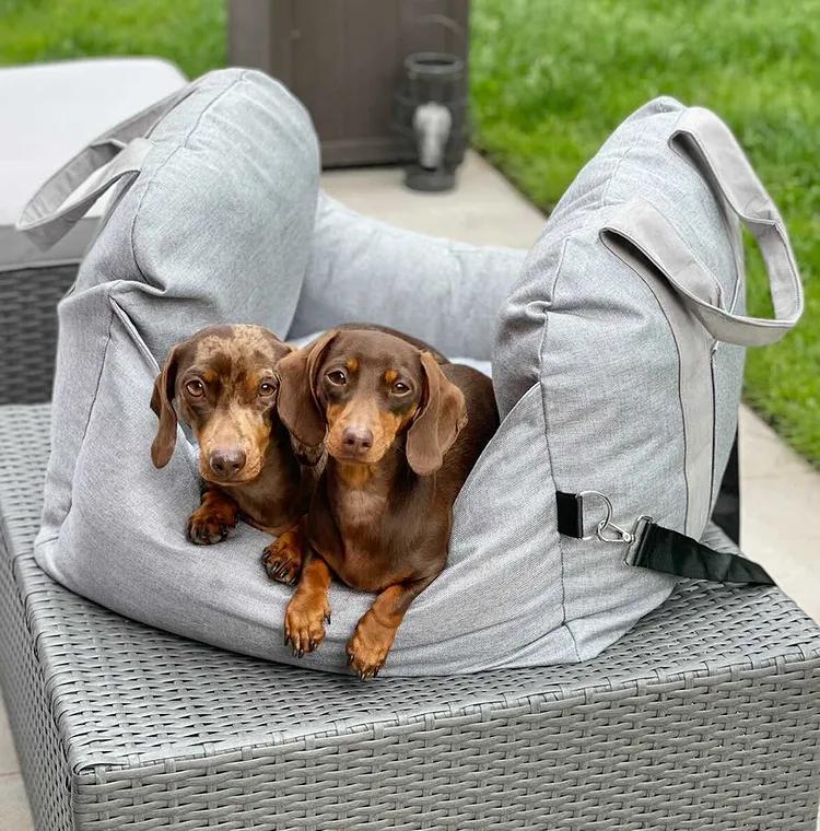 Dog Car Seat Bed - First Class - FUNNYFUZZY