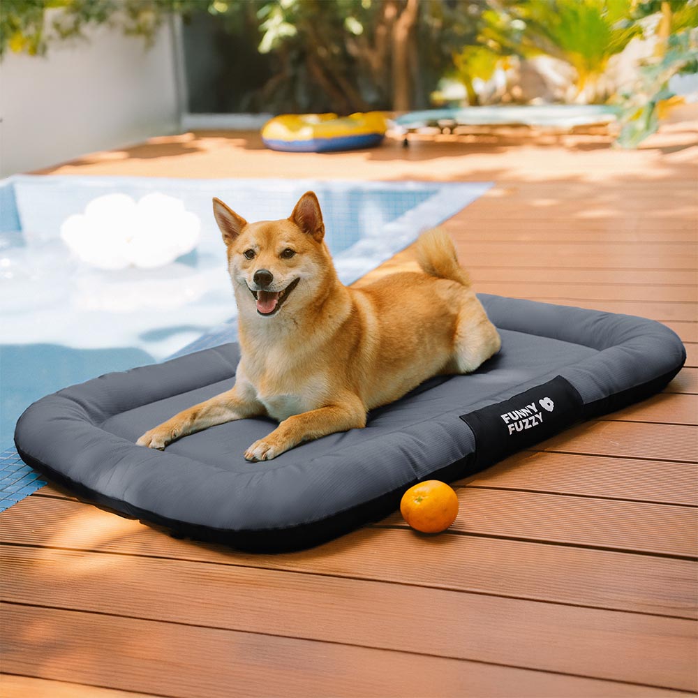 Wasserdicht Kratzfeste Farbblockierte Orthopädische Außen Hundematte - Trek Lounge