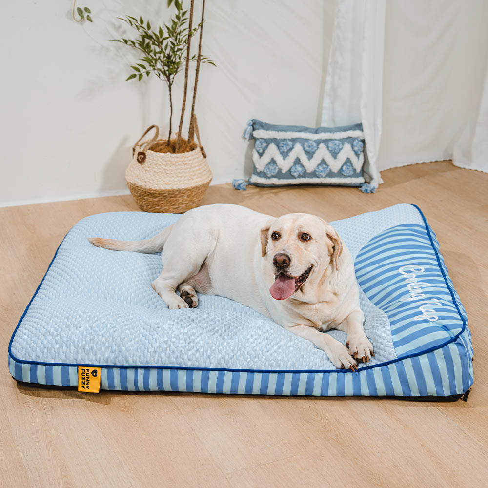 Extra großes kühlendes waschbares rechteckiges orthopädisches Kühlmatte Hund - Kühlmatte Hund