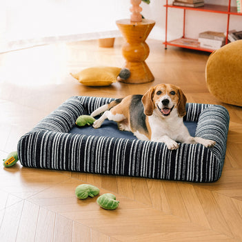 Orthopädisches ganzjahres Memory Foam Hundebett - Funnyfuzzy SnugNest