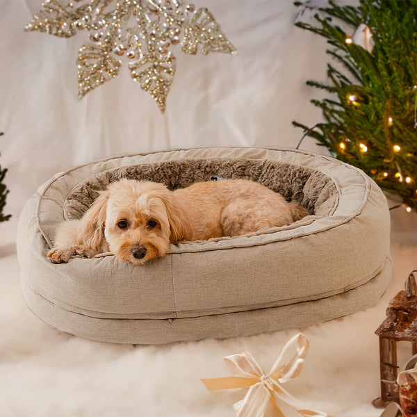 Bequem Hundebett in Donutform