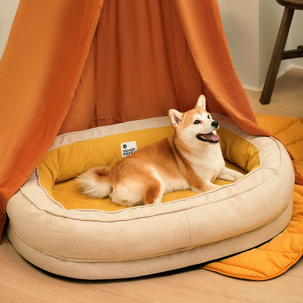 Flauschiges orthopädisches Hundebett in Donutform