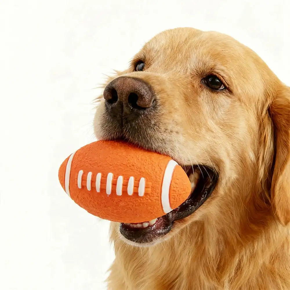 Haltbares Latex-Beißspielzeug für Hunde mit Quitscher
