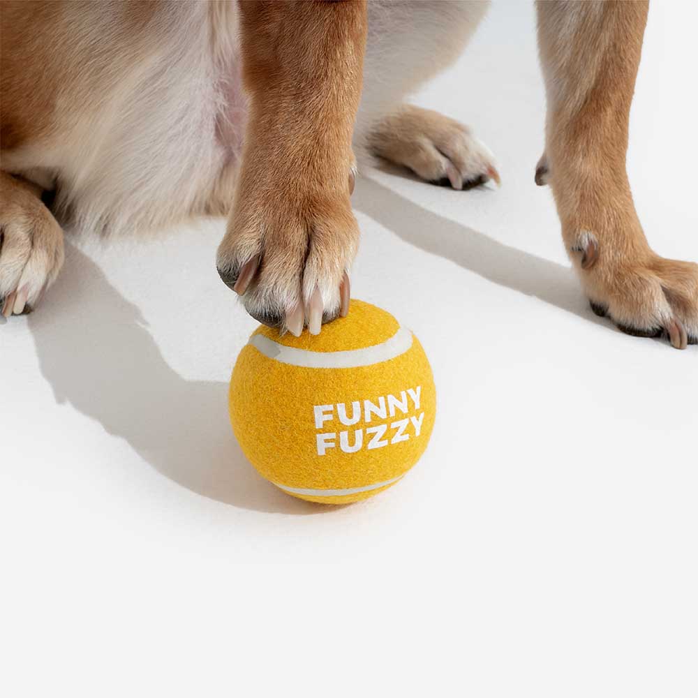 Tennisball Hundespielzeug Quietschen & Hüpfen
