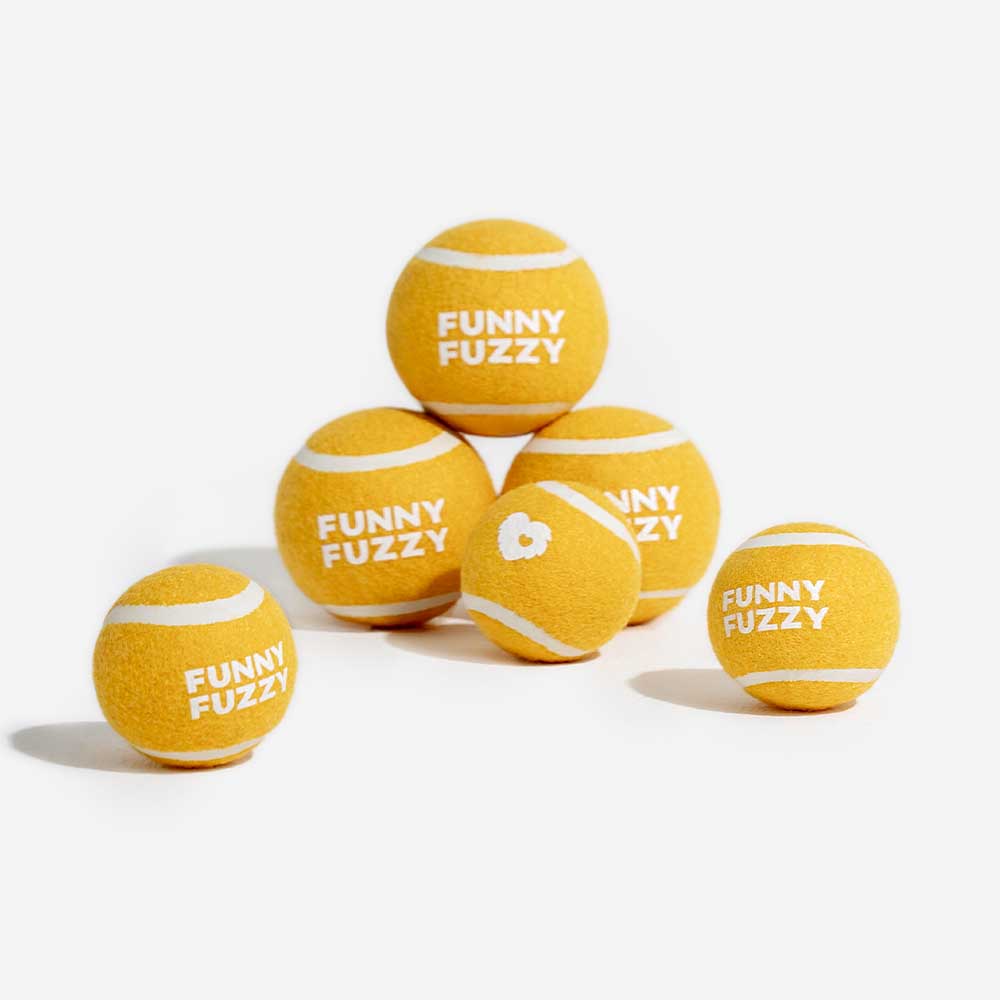 Tennisball Hundespielzeug Quietschen & Hüpfen