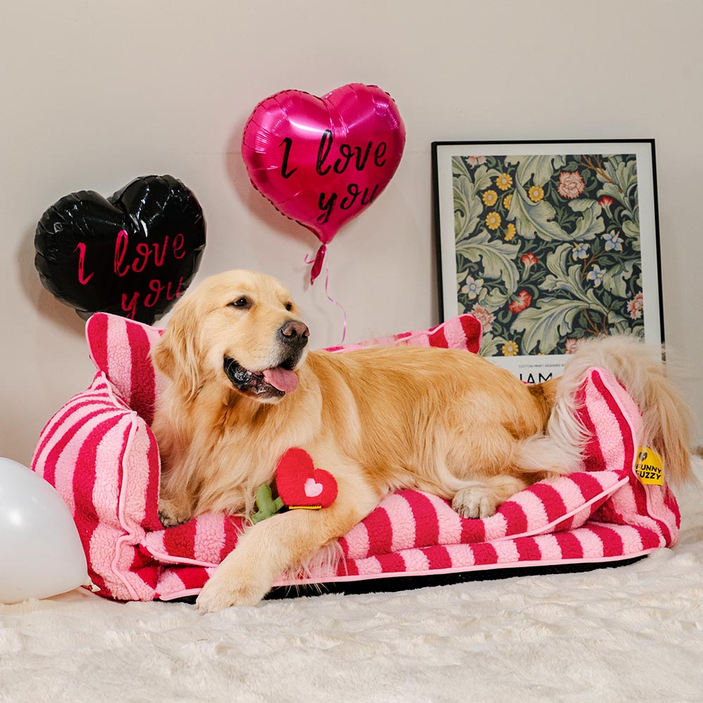 FUNNYFUZZY Valentinstags-Rose Plüsch Quietschspielzeug für Hunde