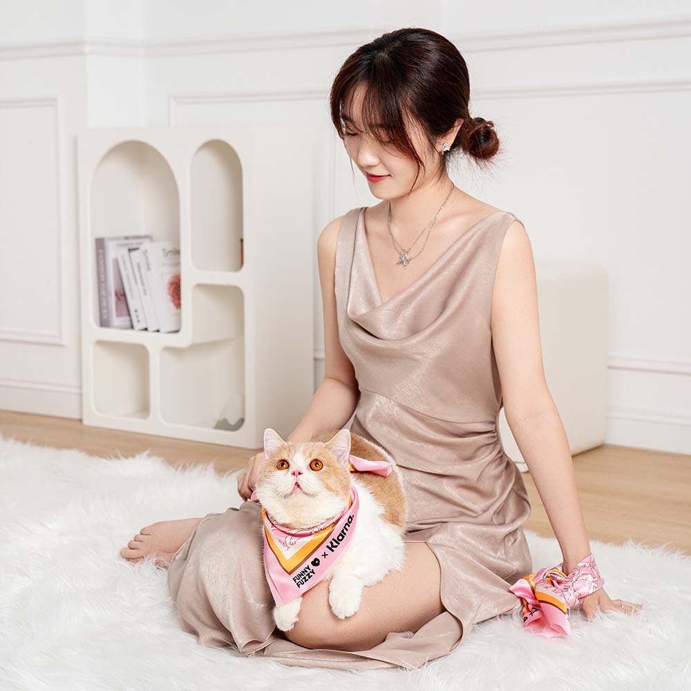 FunnyFuzzy X Klarna | Großes Rosa Autositzbett Sicherheit auf Reisen für Hunde