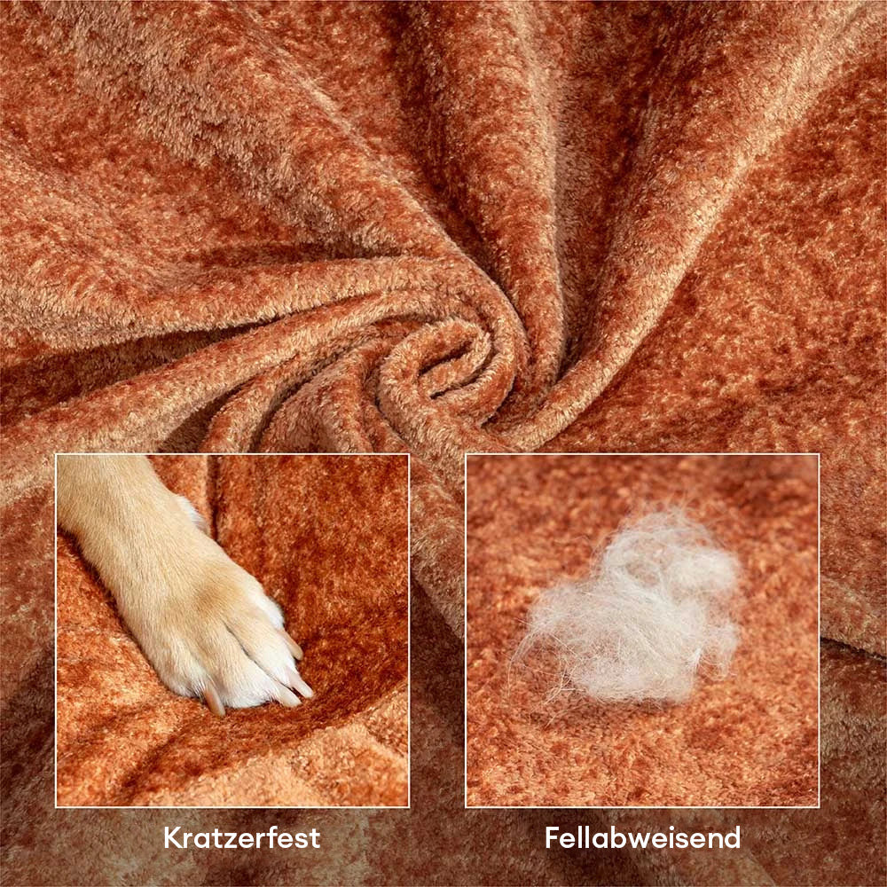 Orthopädisches Donut-Hundebett aus Diamond Velvet mit abnehmbarem Kissen – DreamNest