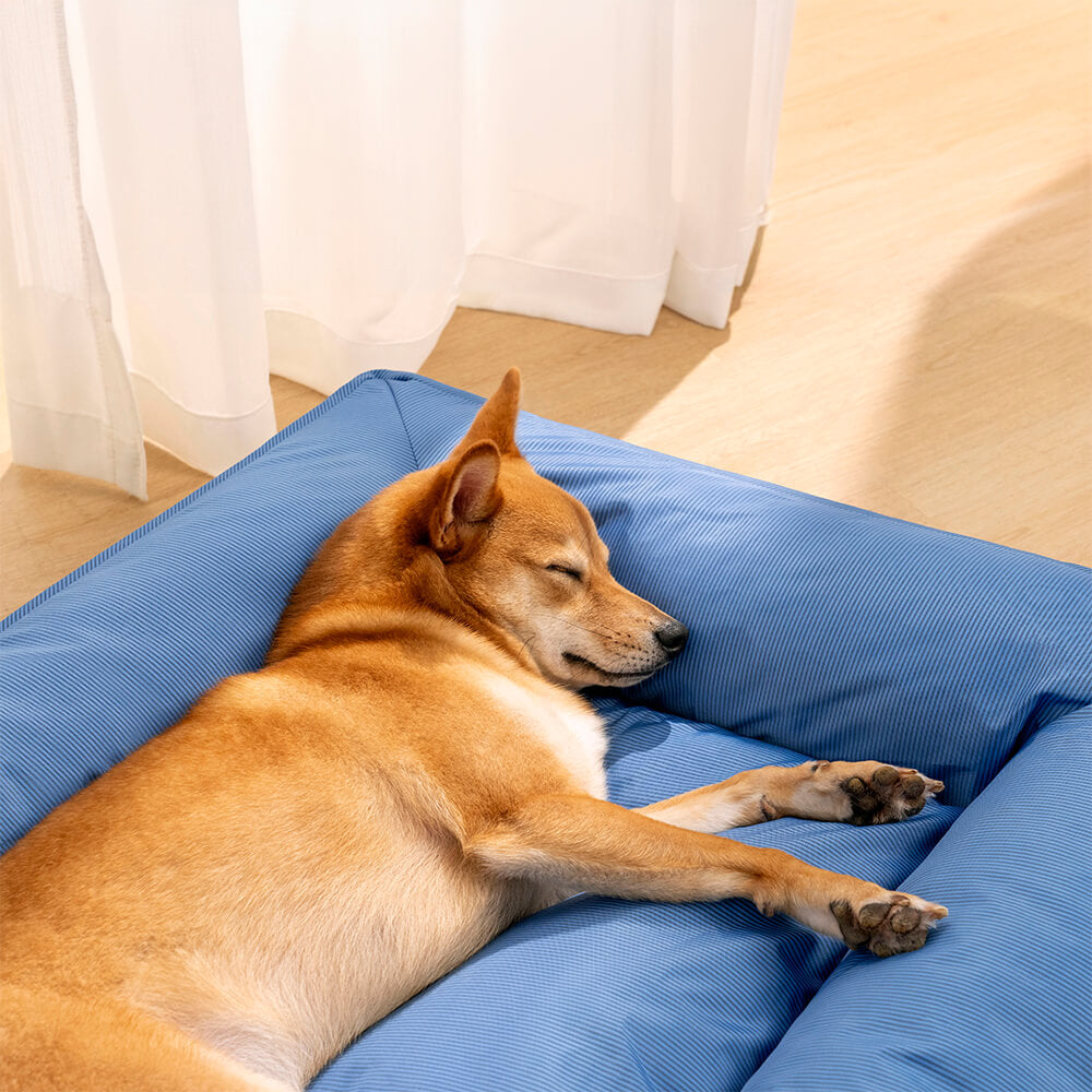 Vollständig Orthopädisches Wasserabweisendes Hundebett mit Rundum-Unterstützung für Große Hunde
