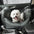 Dog Car Seat Bed - First Class - FUNNYFUZZY