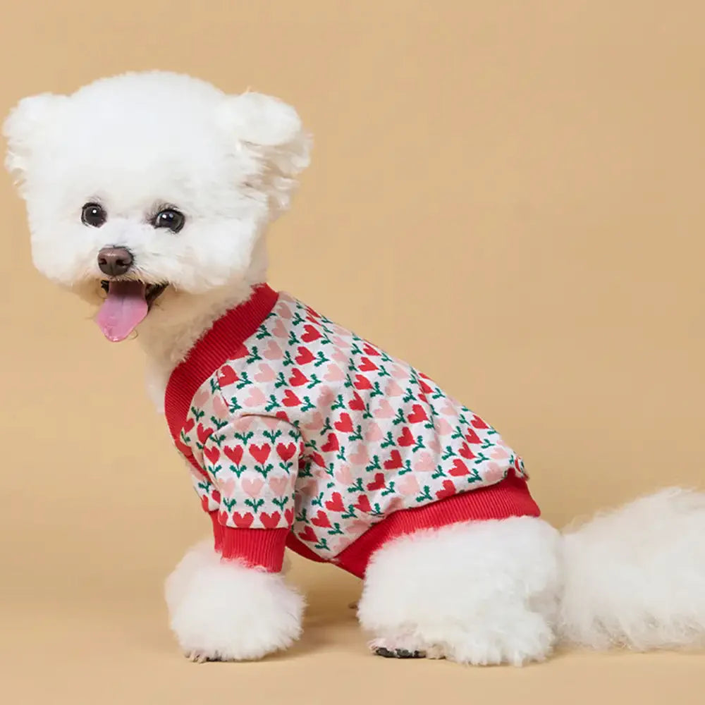 Fair Isle Herzmuster Dachshund Cardigan Hundesweater