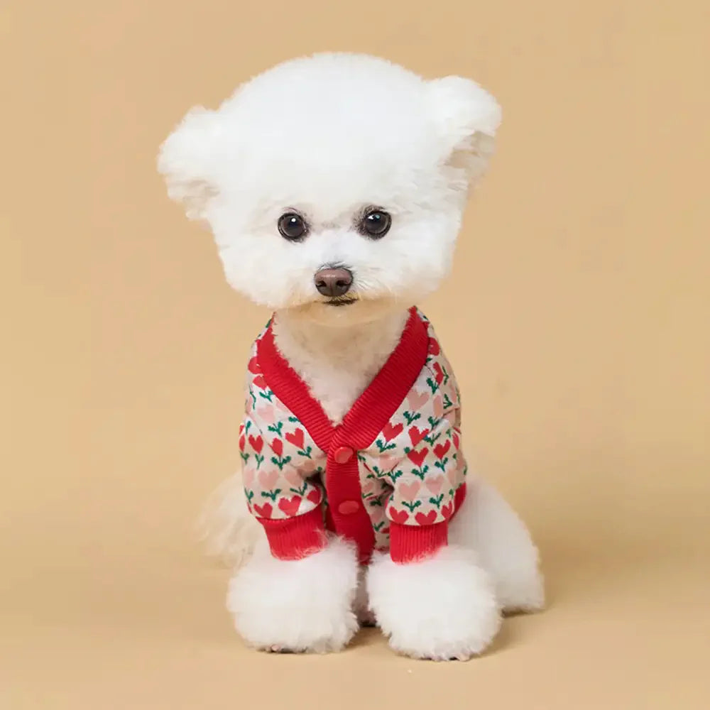 Fair Isle Herzmuster Dachshund Cardigan Hundesweater