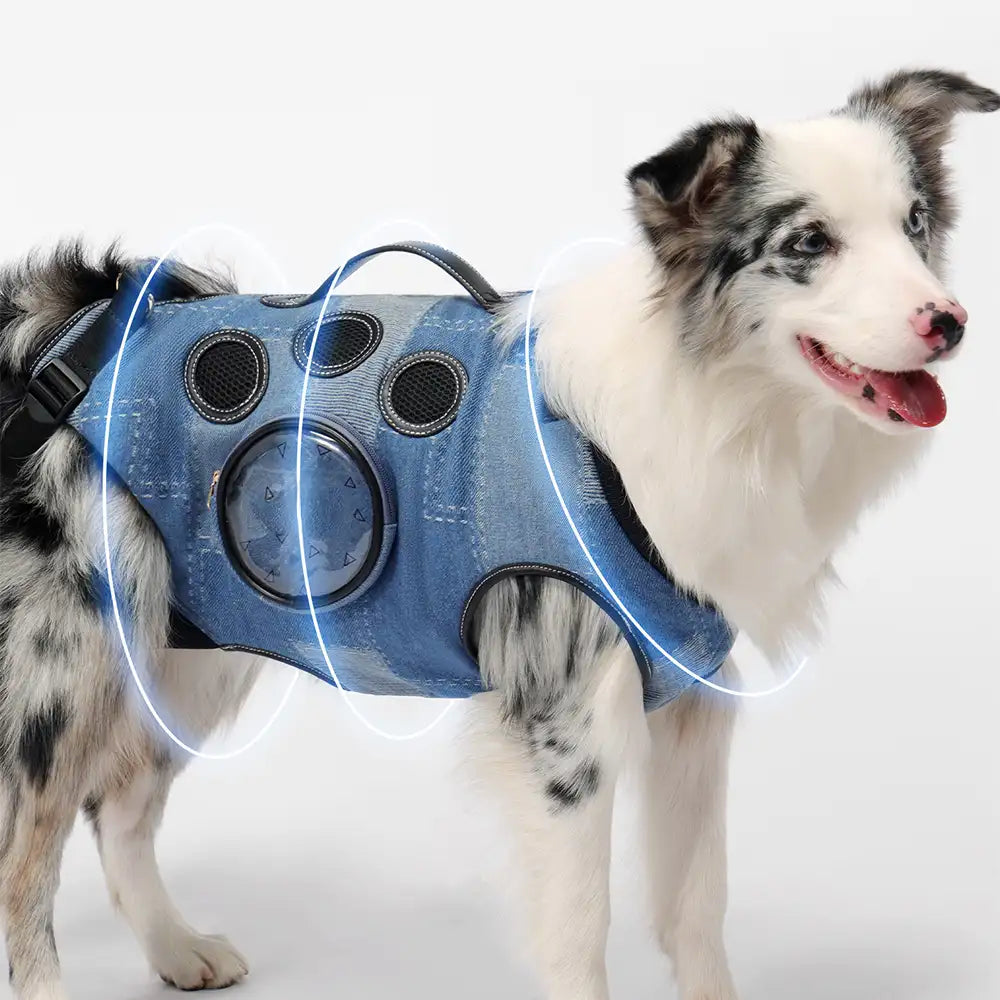 Tragetasche für Hunde ohne Hände für Reisen & Wandern – Multifunktionaler Rucksack für mittelgroße Hunde