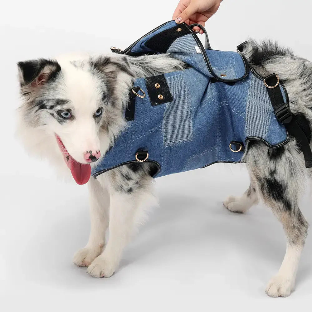 Tragetasche für Hunde ohne Hände für Reisen & Wandern – Multifunktionaler Rucksack für mittelgroße Hunde
