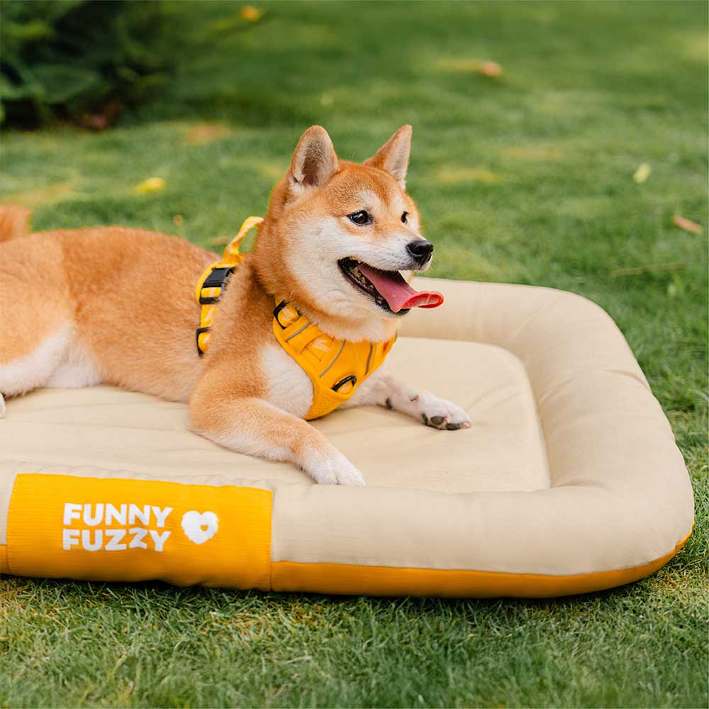 Wasserdicht Kratzfeste Farbblockierte Orthopädische Außen Hundematte - Trek Lounge