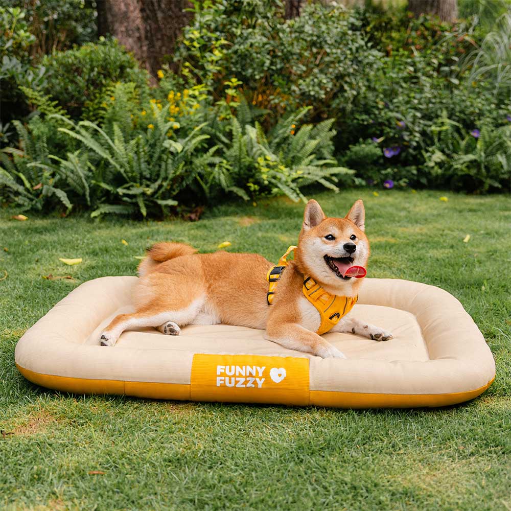Wasserdicht Kratzfeste Farbblockierte Orthopädische Außen Hundematte - Trek Lounge
