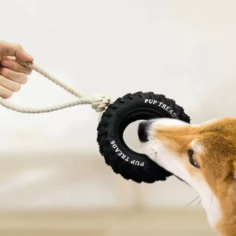 Interaktives Hundespielzeug aus Gummireifen zum Beiß- und Kauen