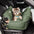ISOFIX Hund-Autositzbett mit ISOFIX-System - Erste Klasse