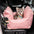 ISOFIX Hund-Autositzbett mit ISOFIX-System - Erste Klasse