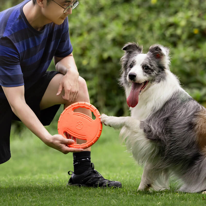 Interaktive Hunde-Frisbee Lenkrad Wurfspielzeug aus Gummi