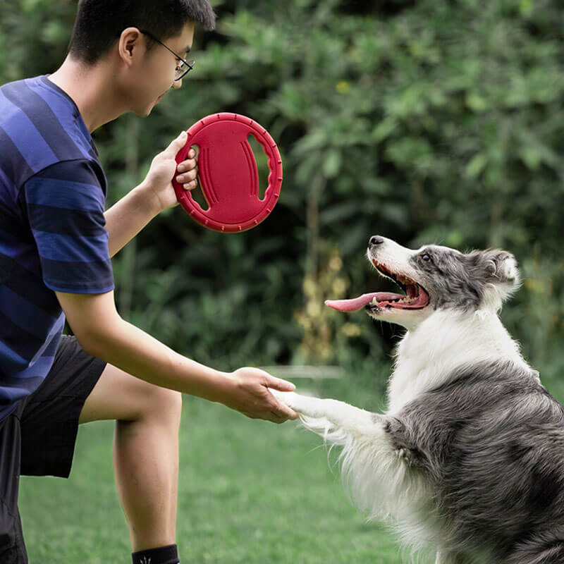 Interaktive Hunde-Frisbee Lenkrad Wurfspielzeug aus Gummi