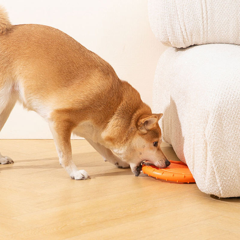 Interaktive Hunde-Frisbee Lenkrad Wurfspielzeug aus Gummi