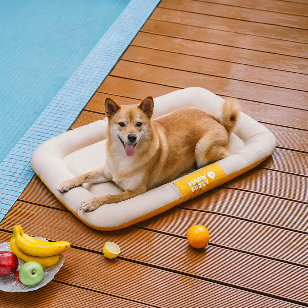 Wasserdicht Kratzfeste Farbblockierte Orthopädische Außen Hundematte - Trek Lounge