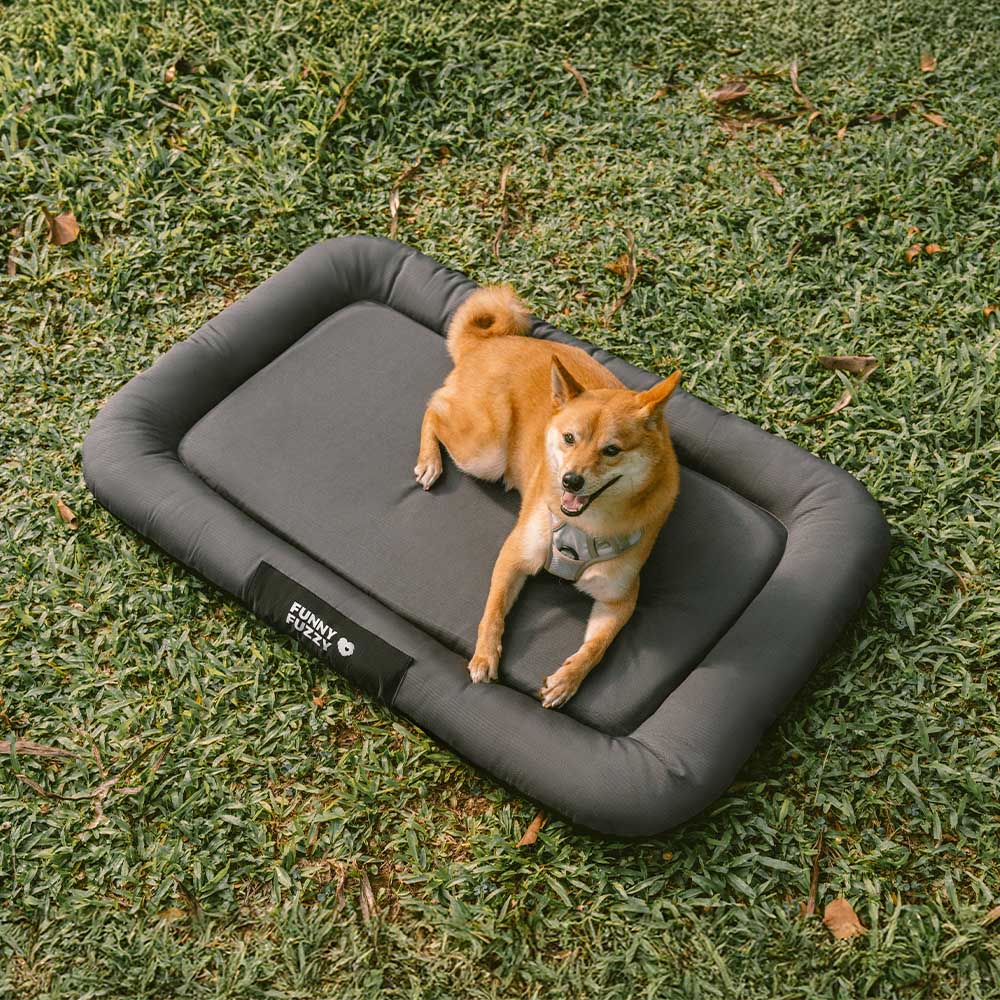 Wasserdicht Kratzfeste Farbblockierte Orthopädische Außen Hundematte - Trek Lounge