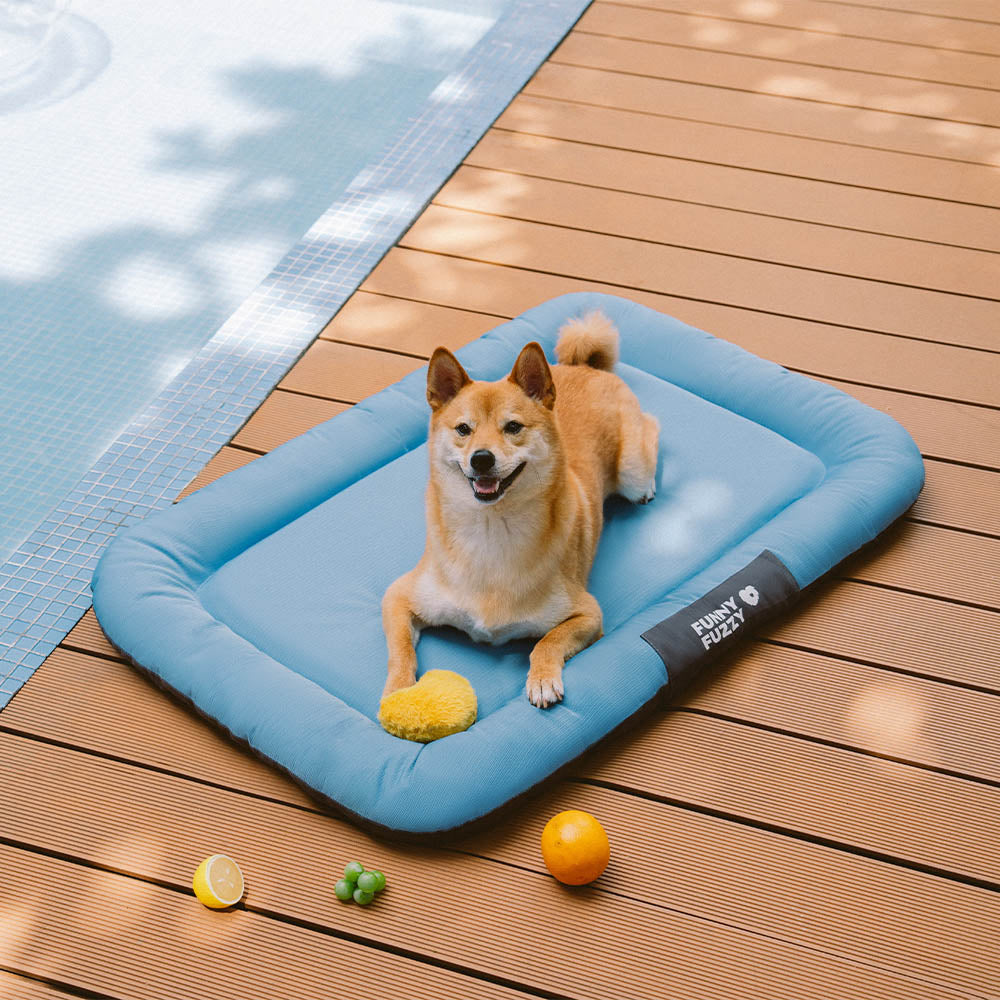 Wasserdicht Kratzfeste Farbblockierte Orthopädische Außen Hundematte - Trek Lounge