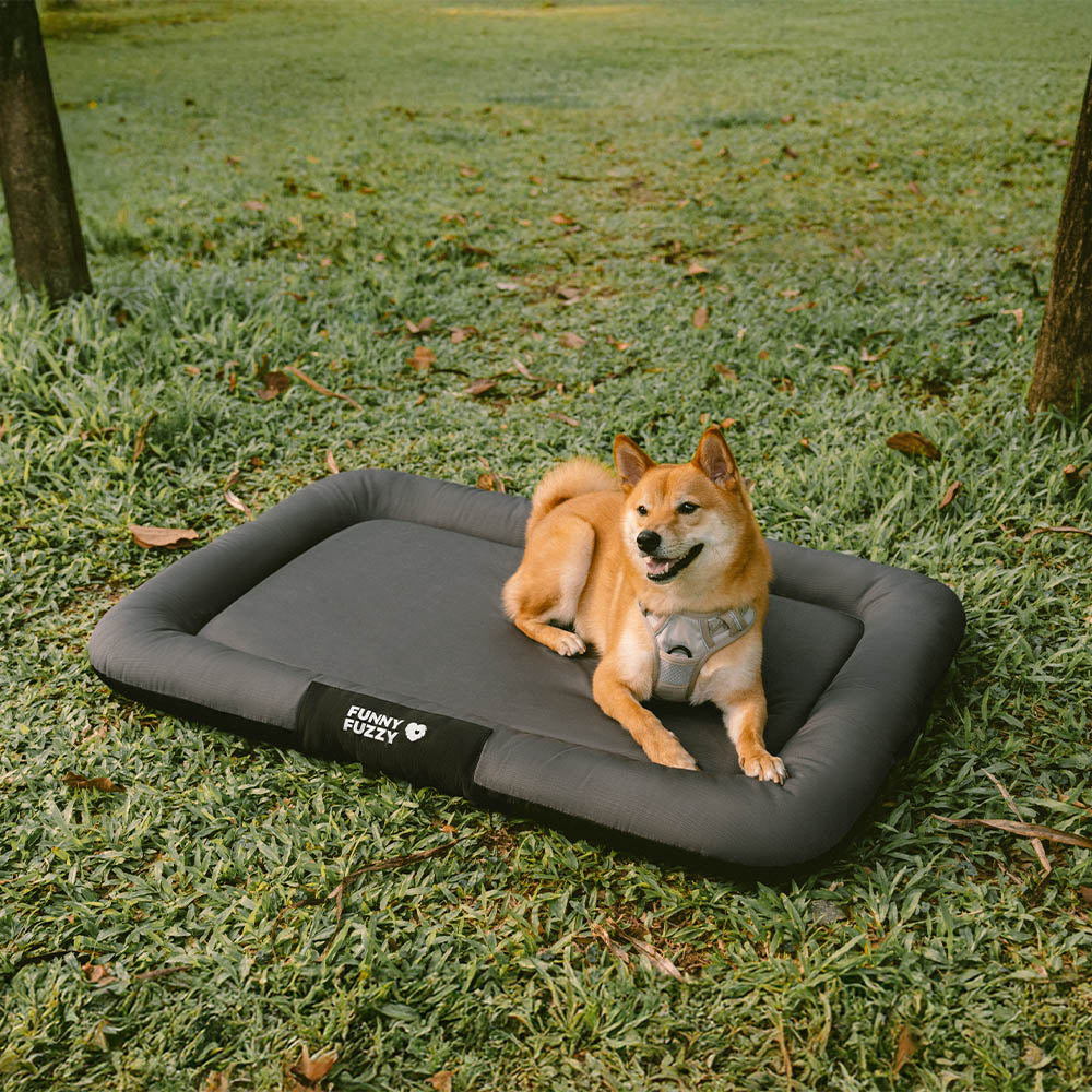Wasserdicht Kratzfeste Farbblockierte Orthopädische Außen Hundematte - Trek Lounge